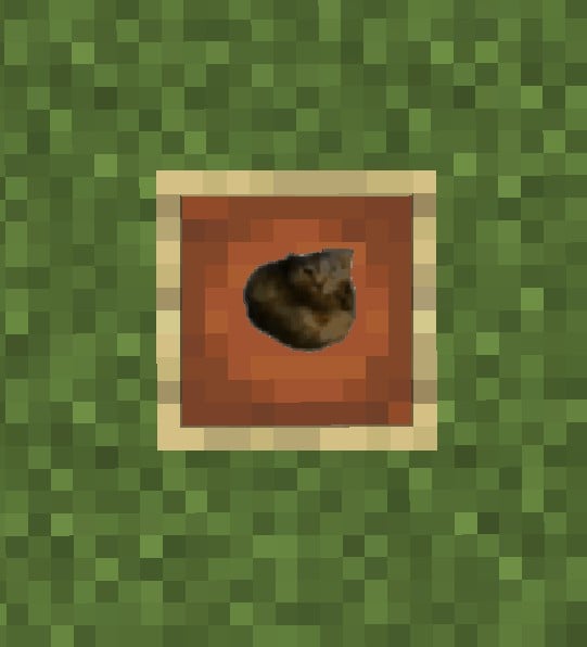 compass in item frame