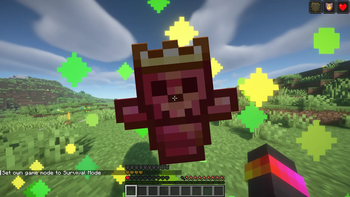 using totem