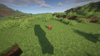 totem on grass