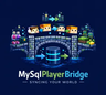 MySqlPlayerBridge