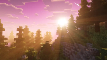 Sunset