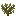 Azalea Sapling