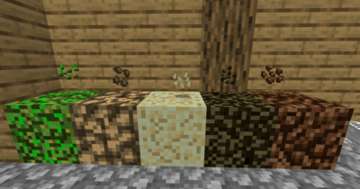 Seed