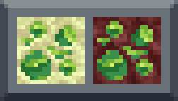 exp ores