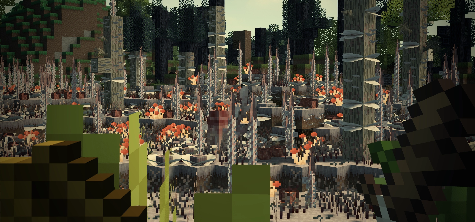 Infected world