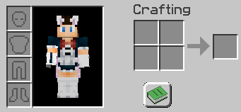 Inventory with Hide Slot enabled