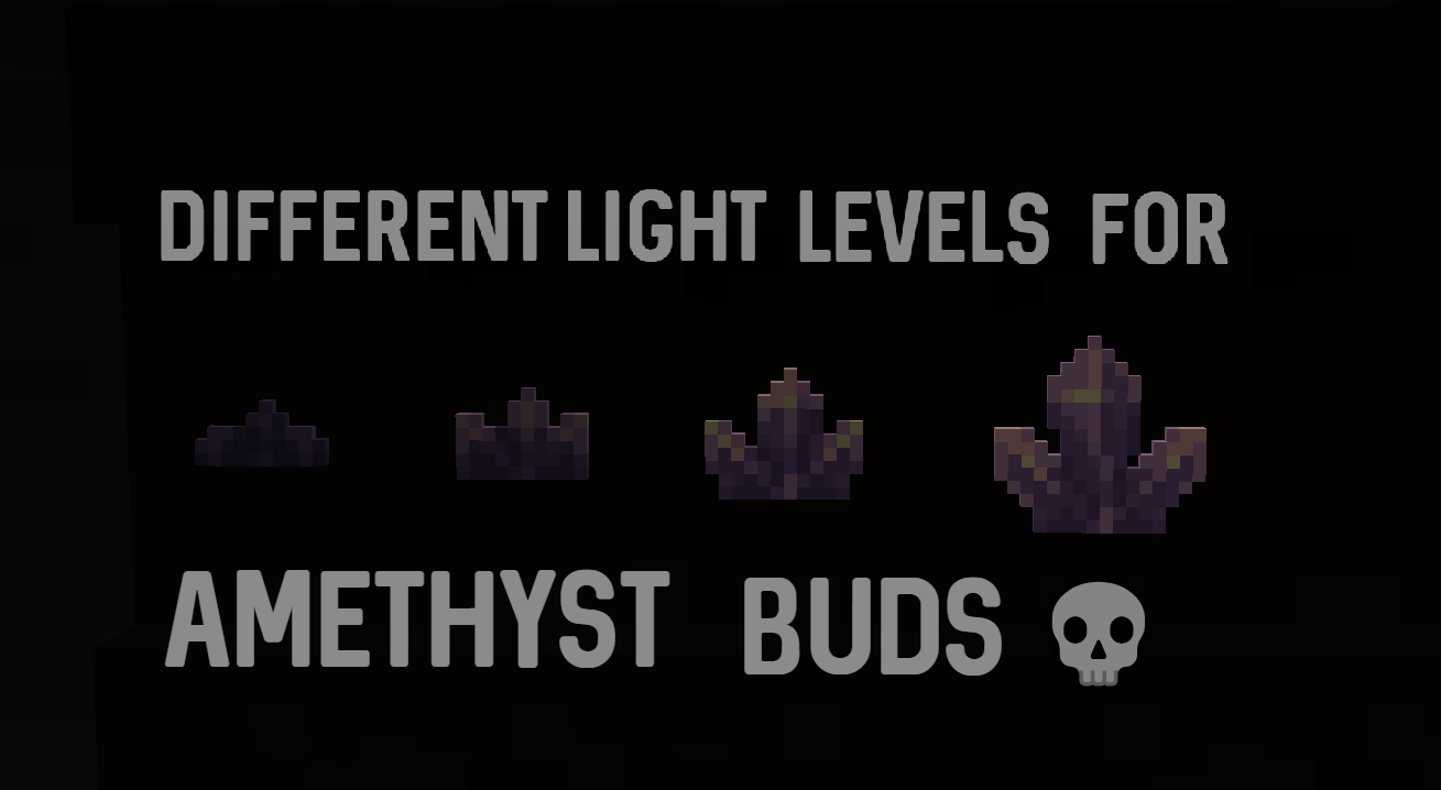 Excessive attention for amethyst buds