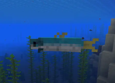 Tuna