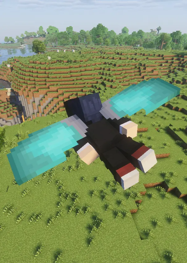 Example of Elytra in game Model during flight