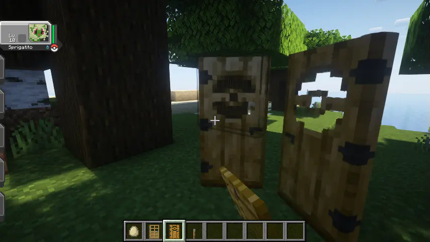 Door Open With Animation