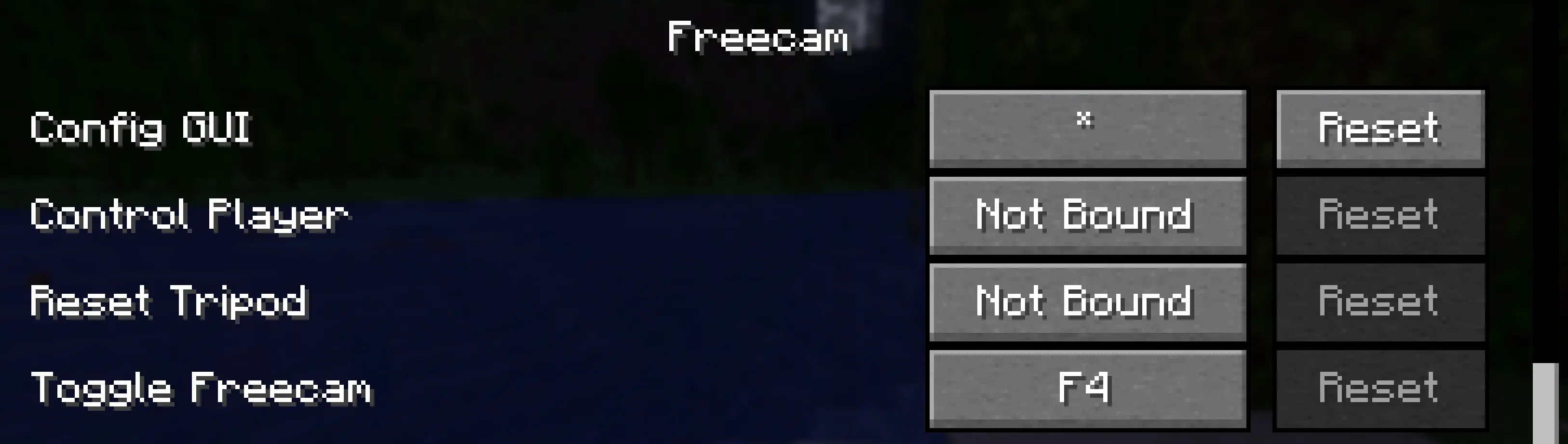 Freecam - Config GUI setting