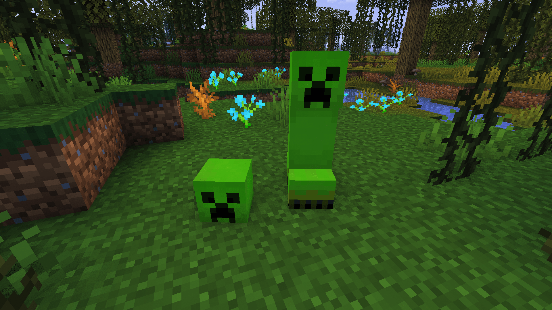 Swamp creeper