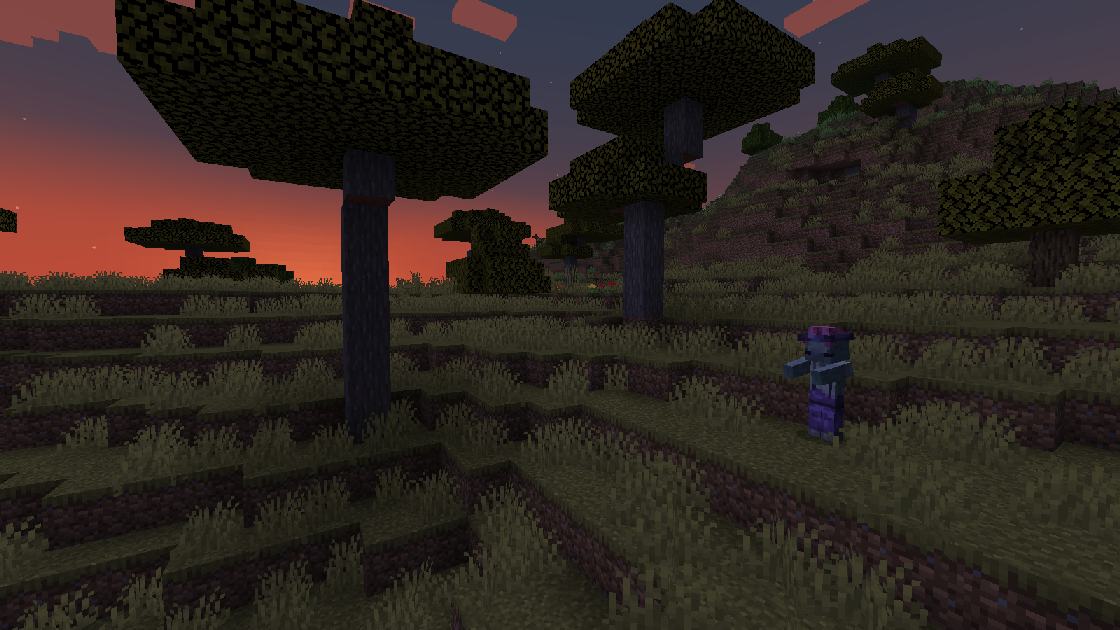 A sunset. Minds is standing in the background
