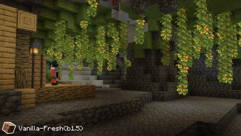 Vanilla-Fresh Cave Vines Plant  (b1.5)