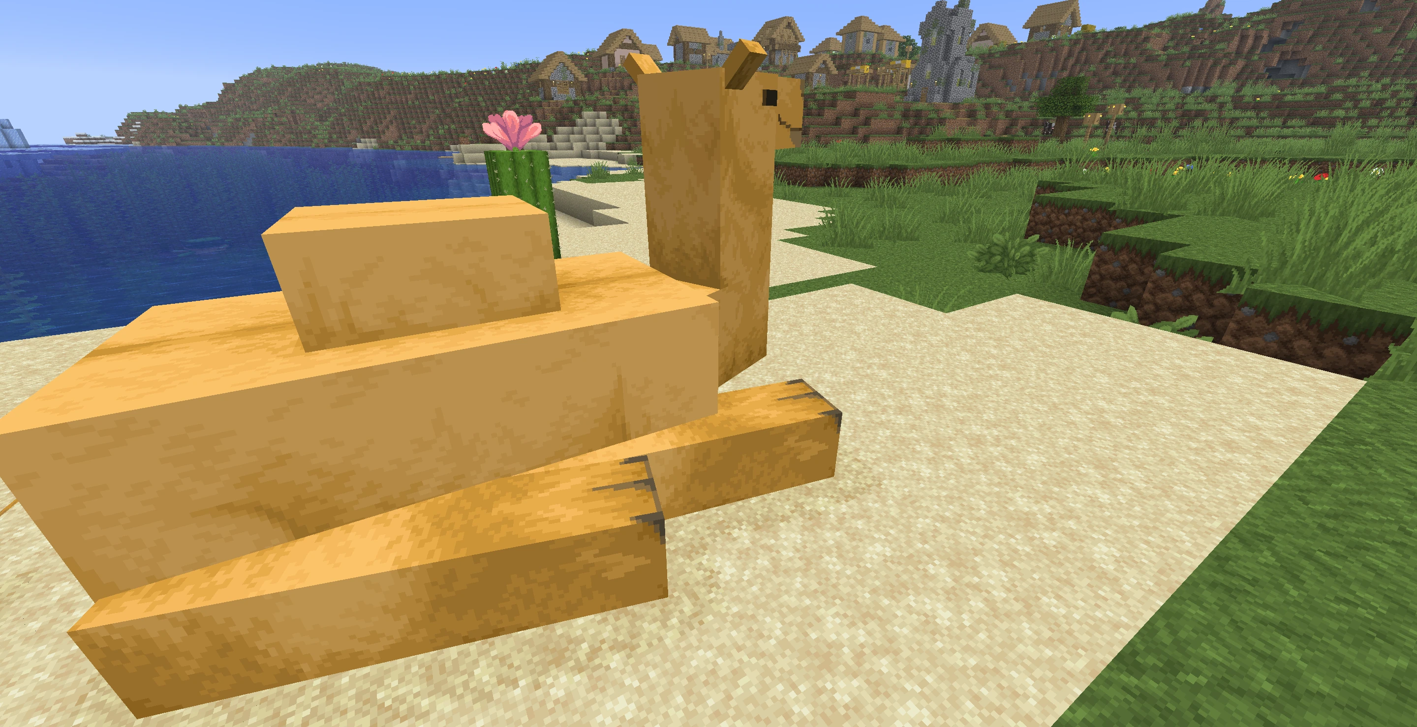 Camel