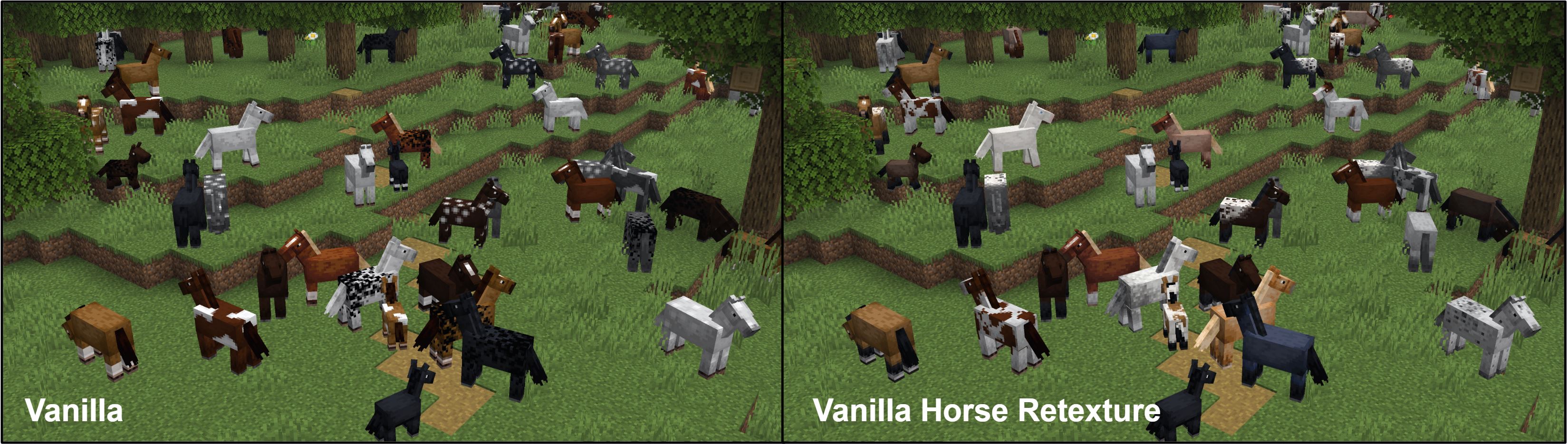 Comparison