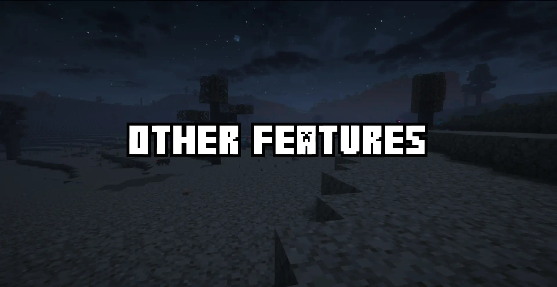 features banner
