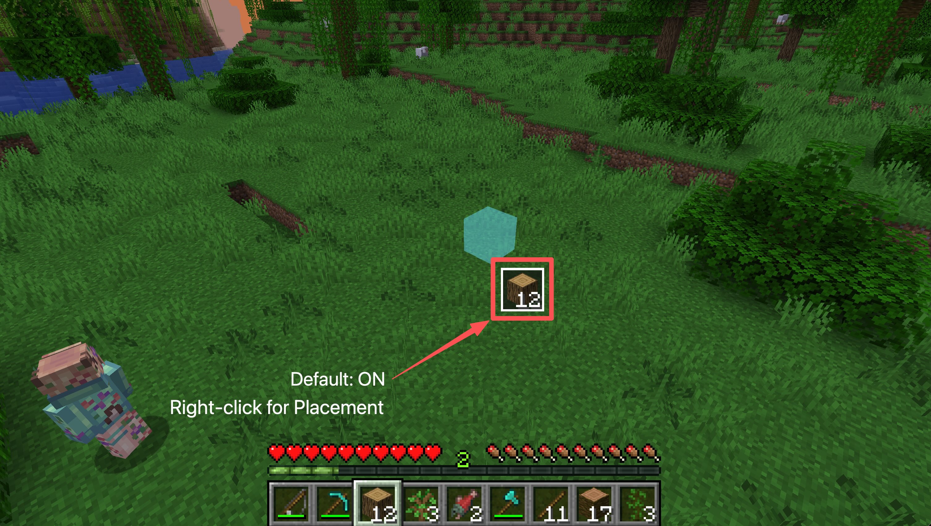 Placement-1