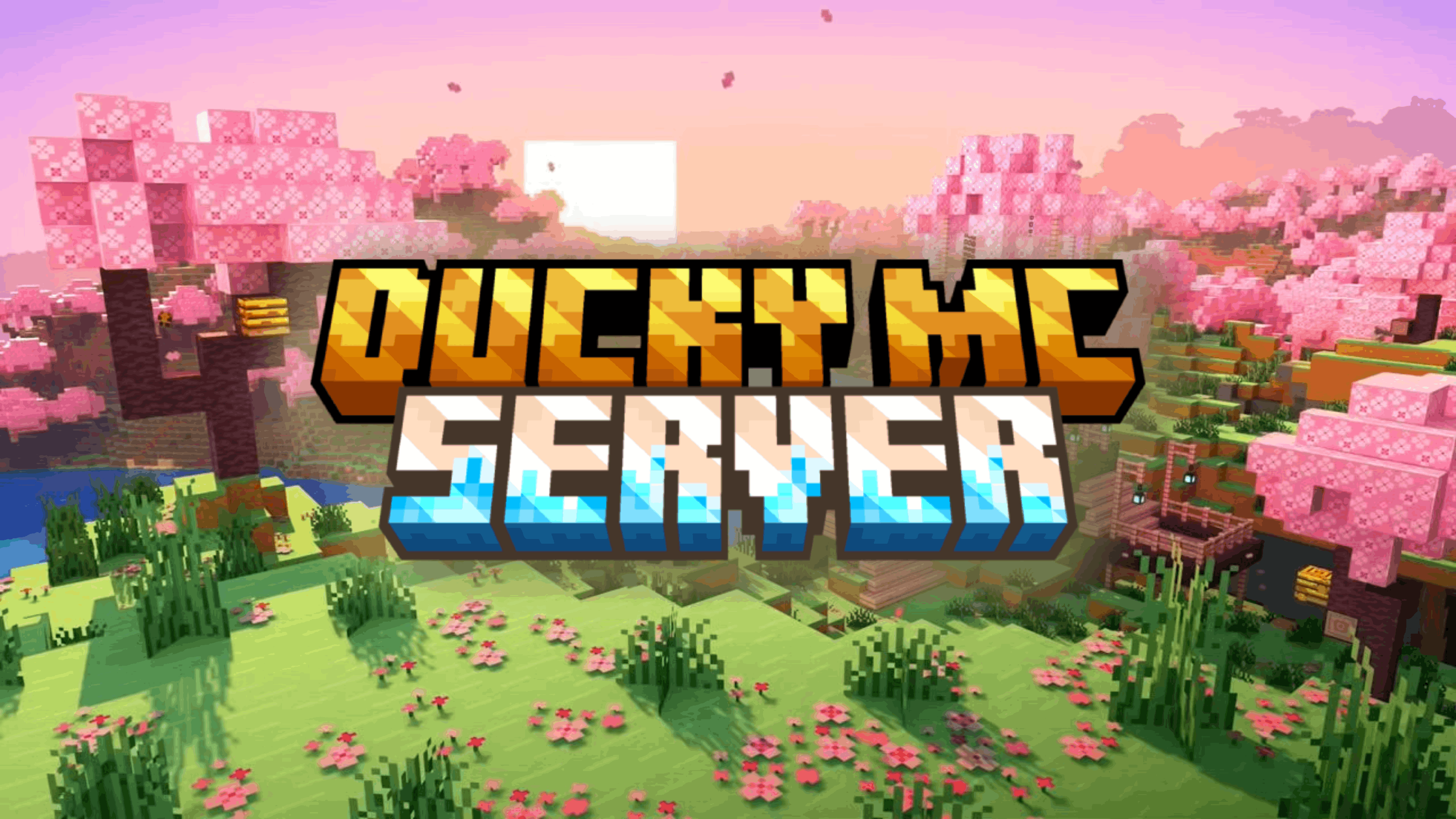 Ducky MC Server Banner