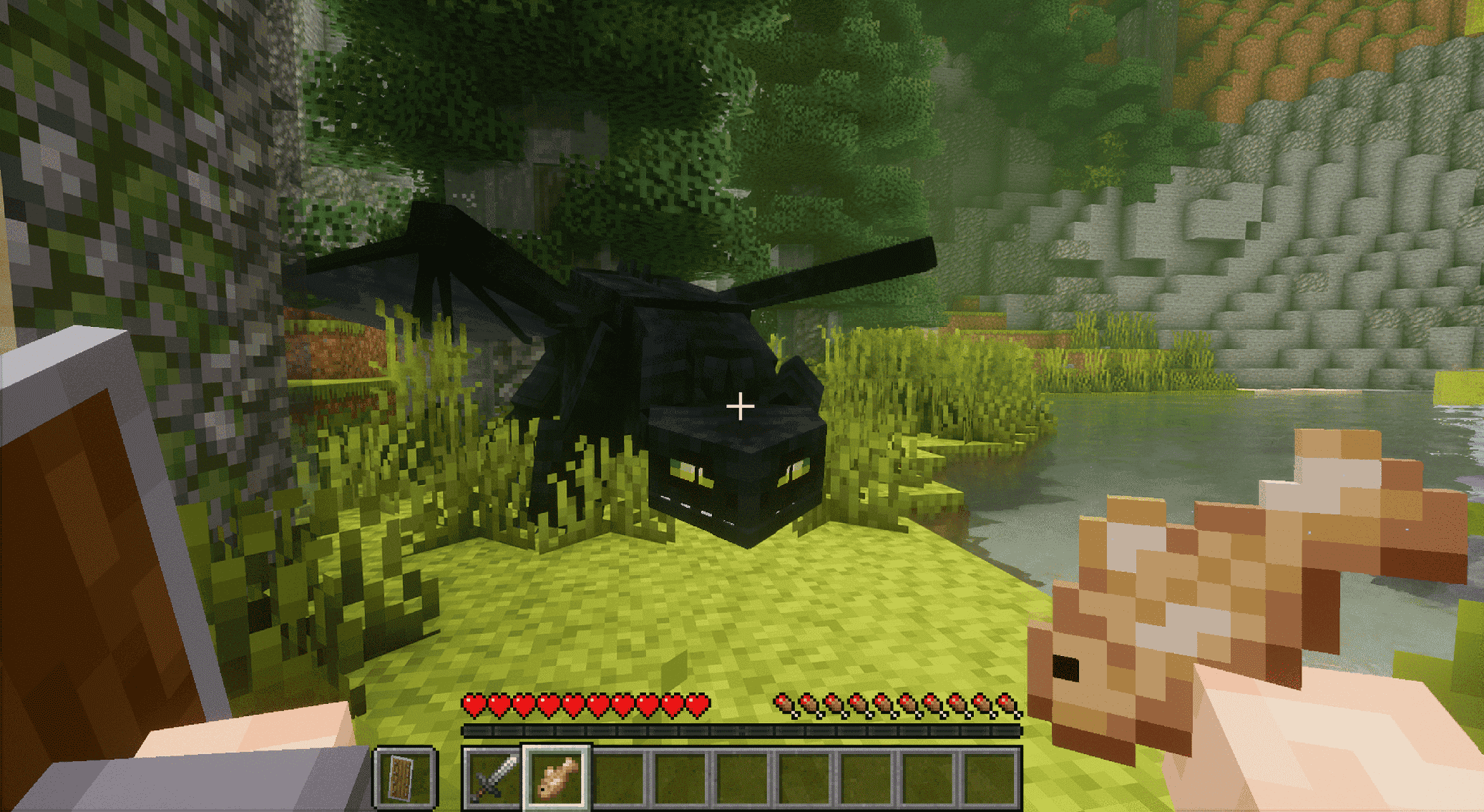 Train your Dragon