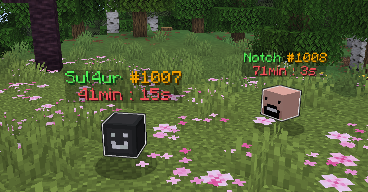 Two graves with different player heads and different owners