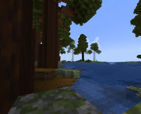 riverbank