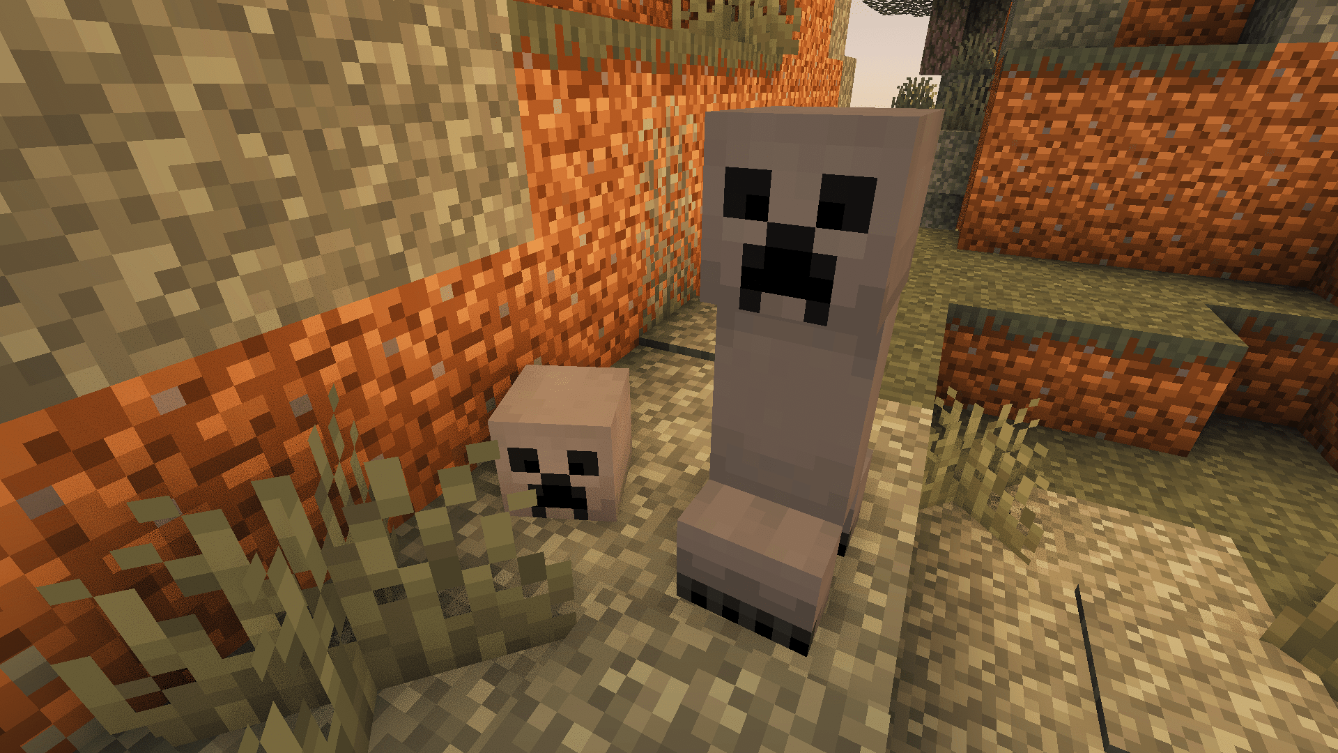 Pale garden creeper