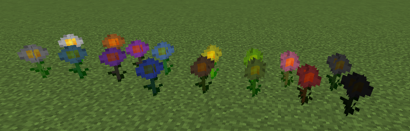 Oxeye Daisys