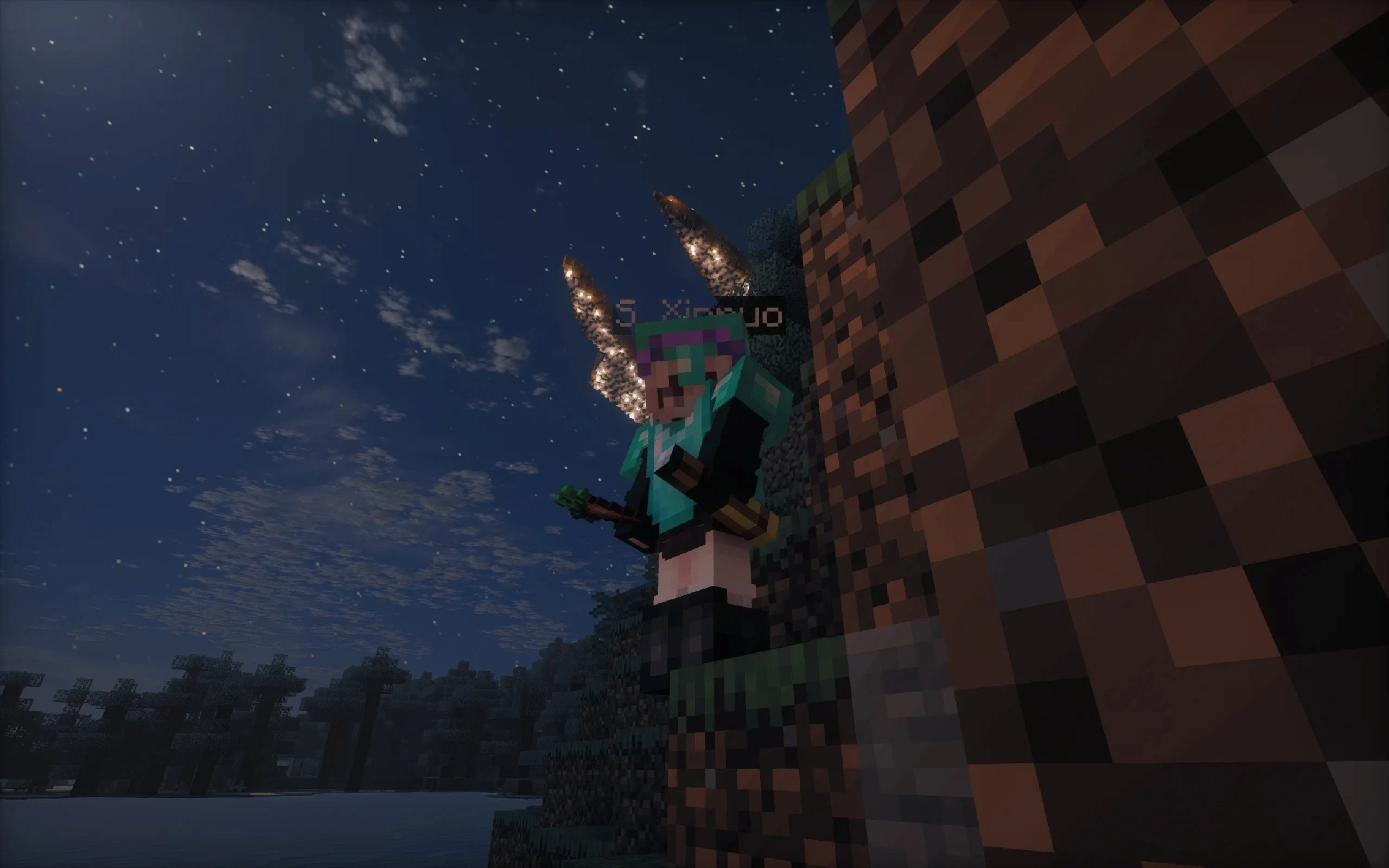 Server screeshot 5