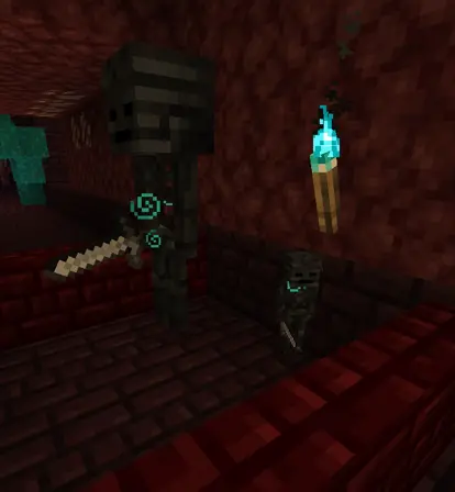 wither skeleton elite