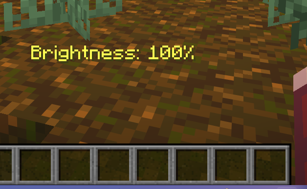 Text Above Hotbar