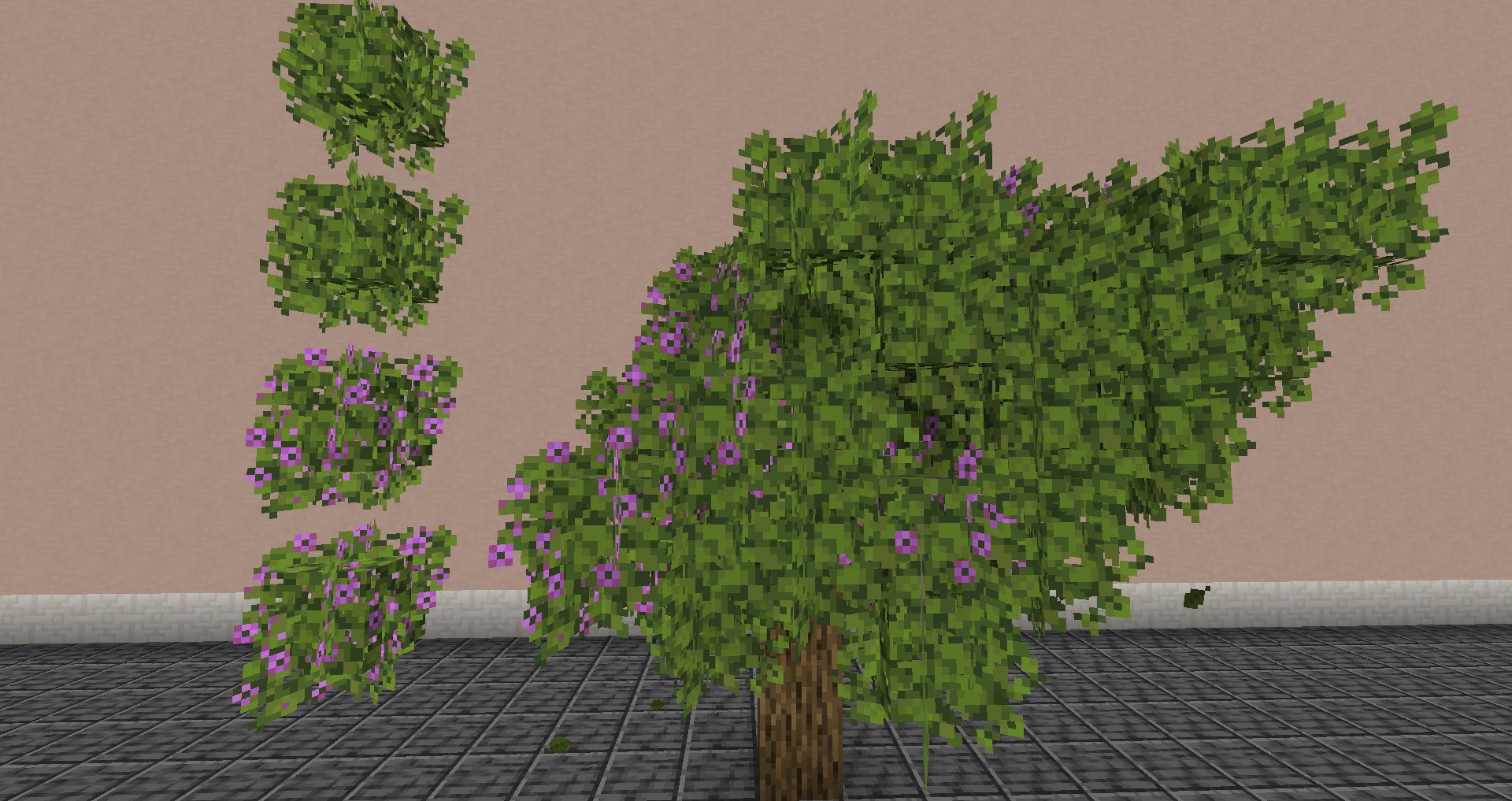 Azalea and Flowering Azalea