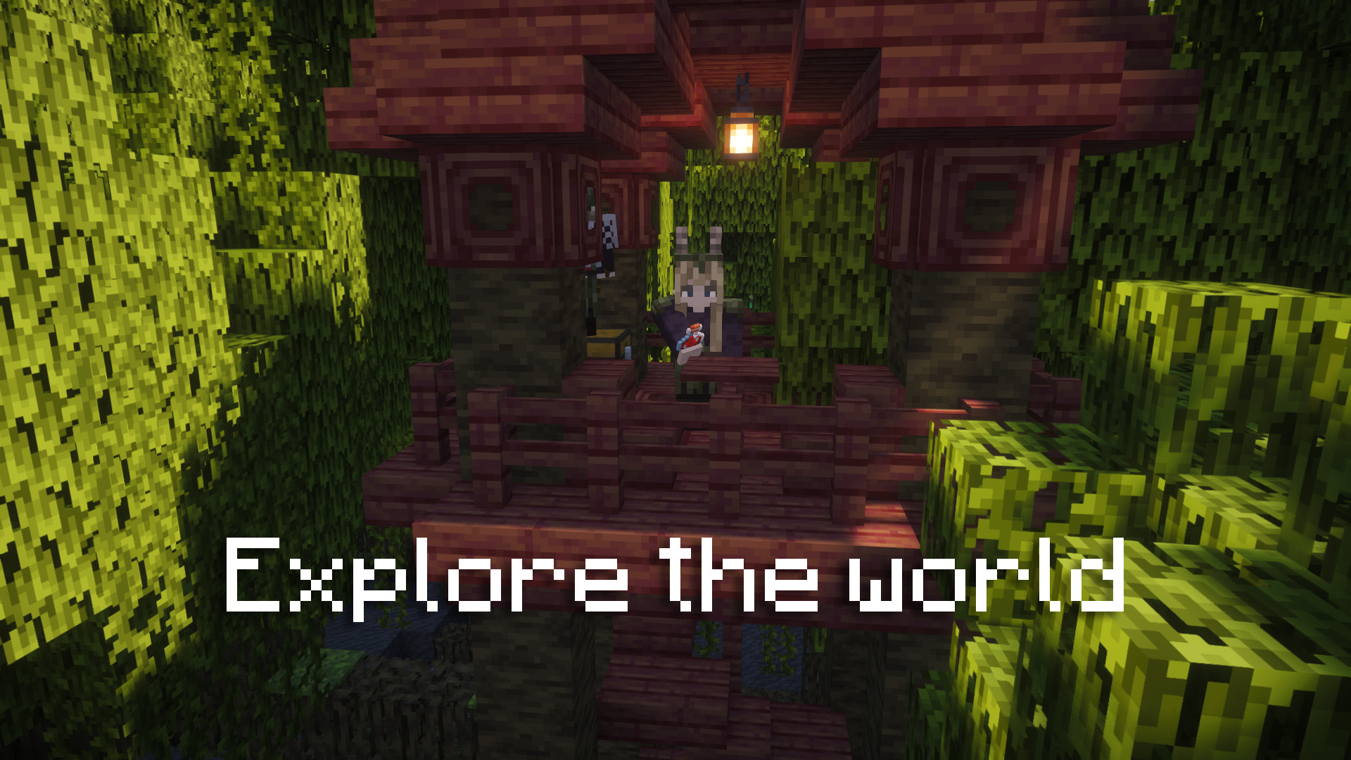 Explore the world