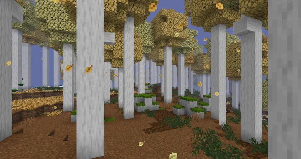 An Old Growth Blossie Woodland on a foggy day. Shows off the extra tall Blossie trees and falling leaf particles.