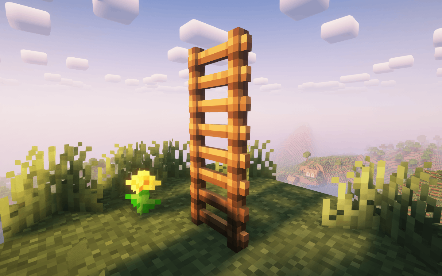 Ladders