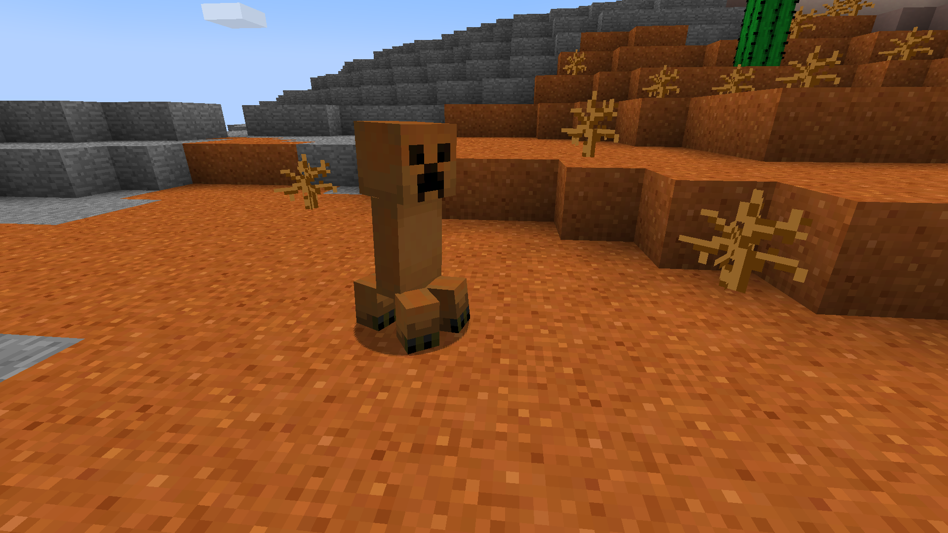 Badlands creeper