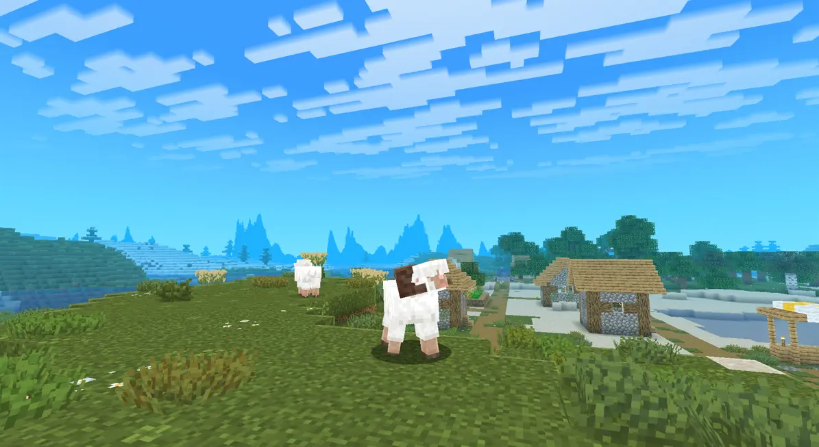 Some sheeps