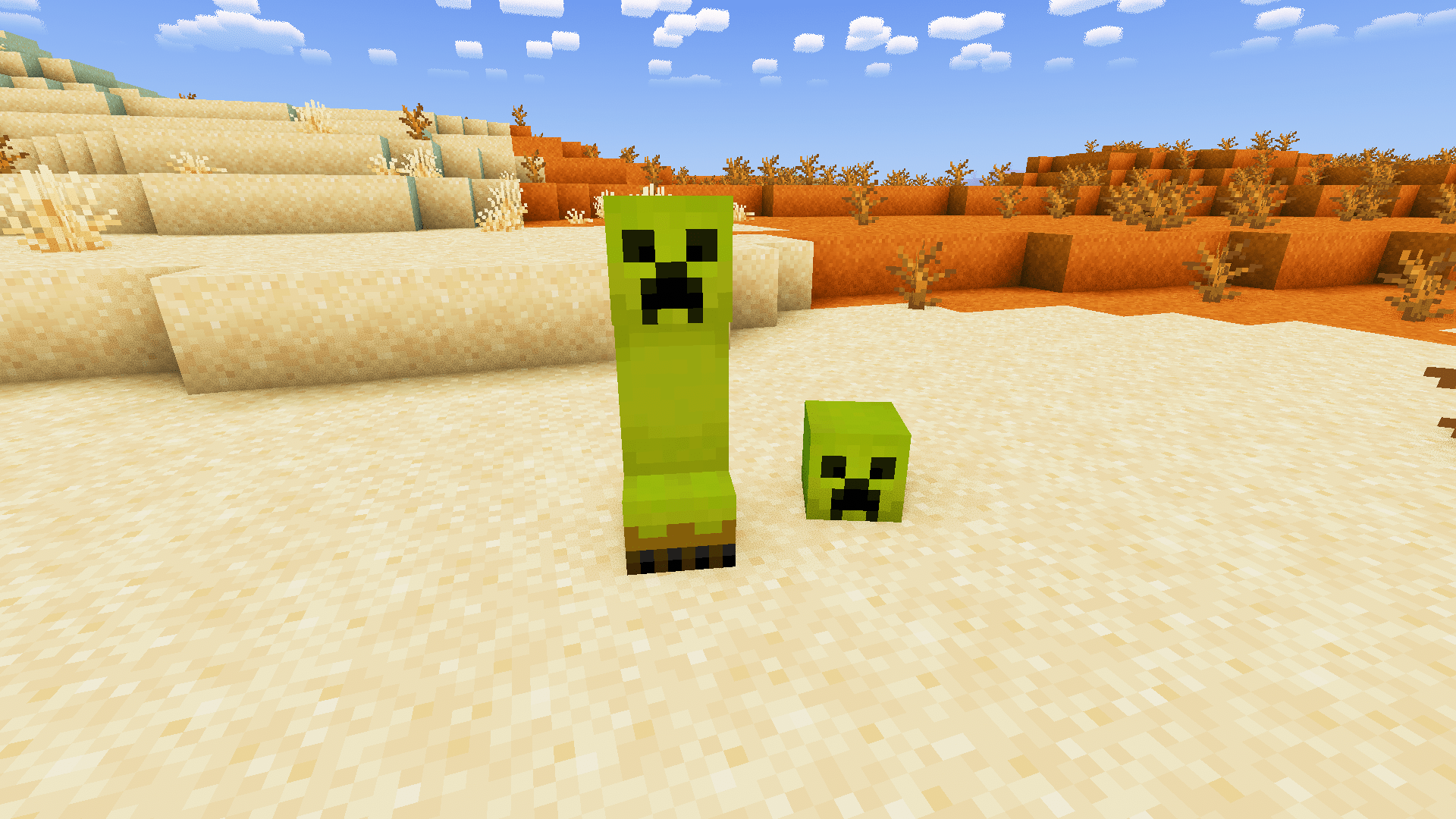 Desert creeper