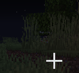 A screenshot from Minecraft showing the Mimicer entity peeking out from behind a tree in the dark, with the name tag Pelarin11 visible above its head.