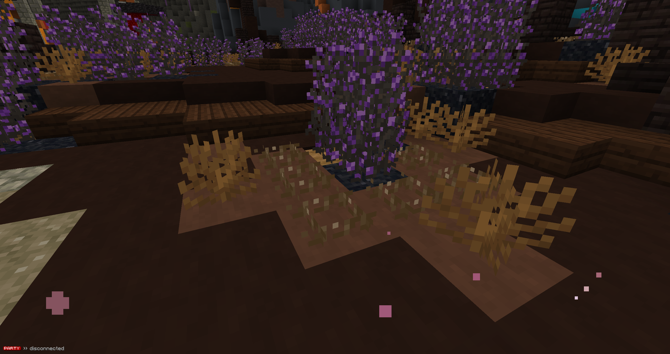 Photo of the crops in question
