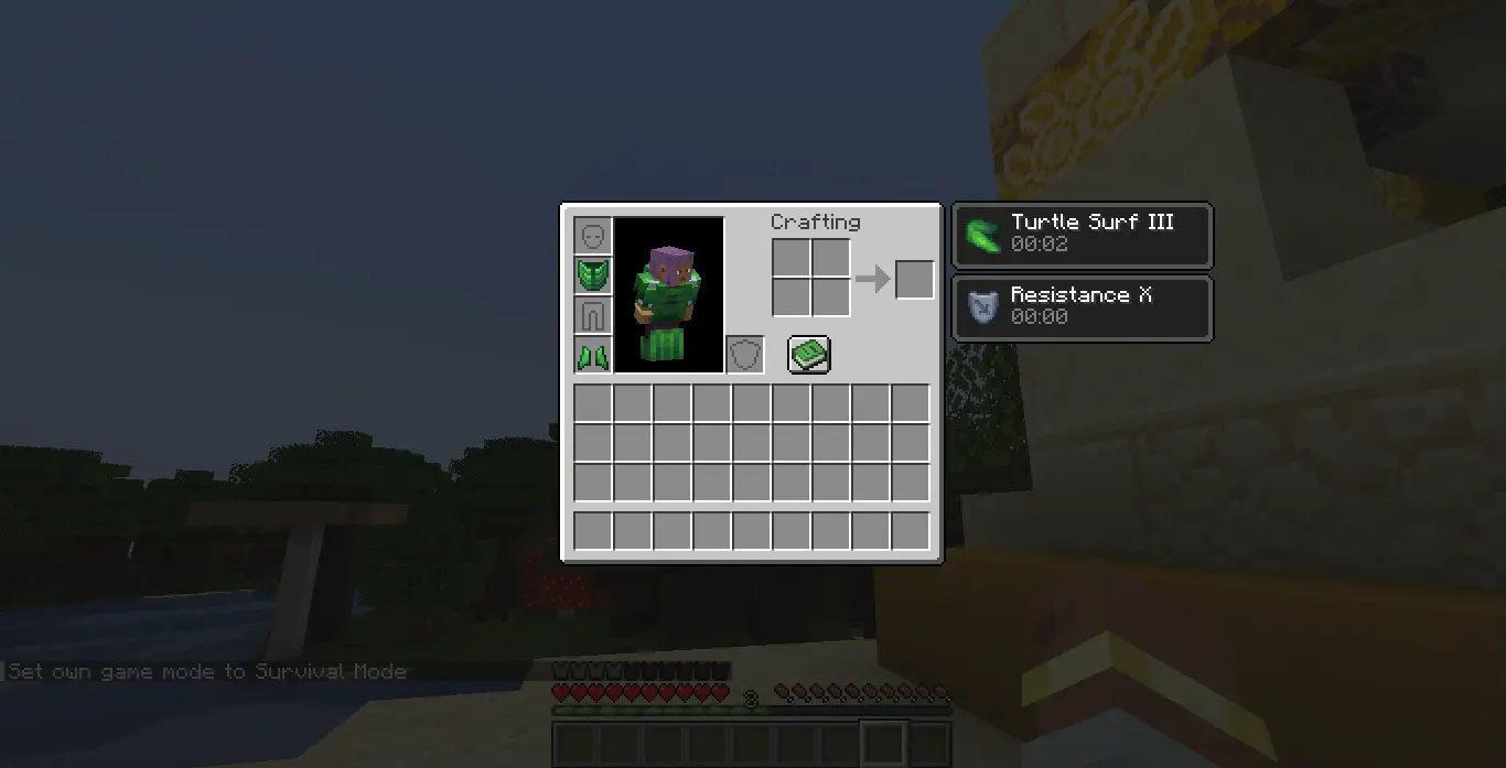 turtle effect