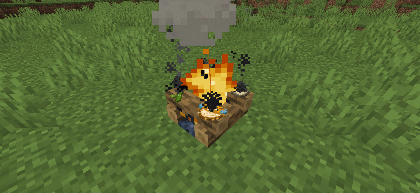 Campfire Cooking!