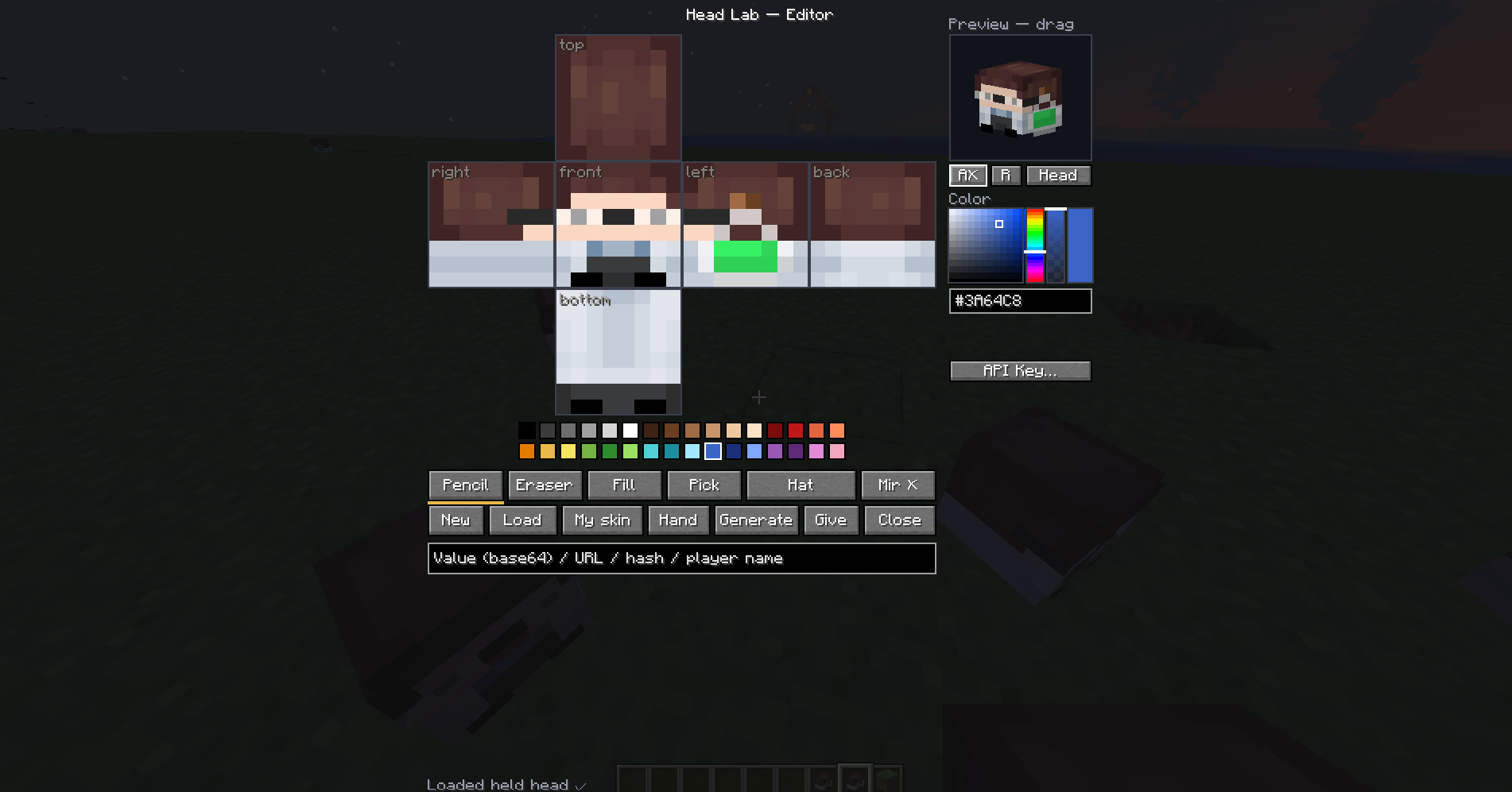 Editor preview