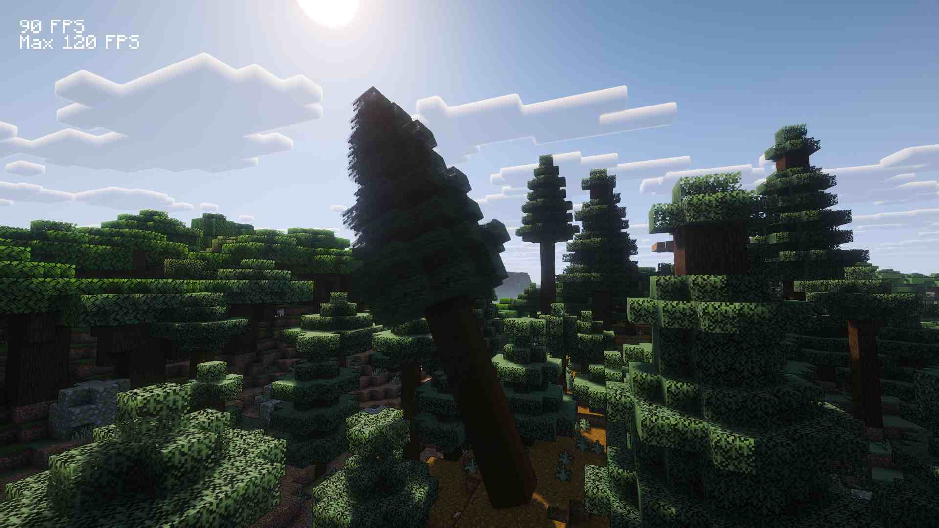 tree