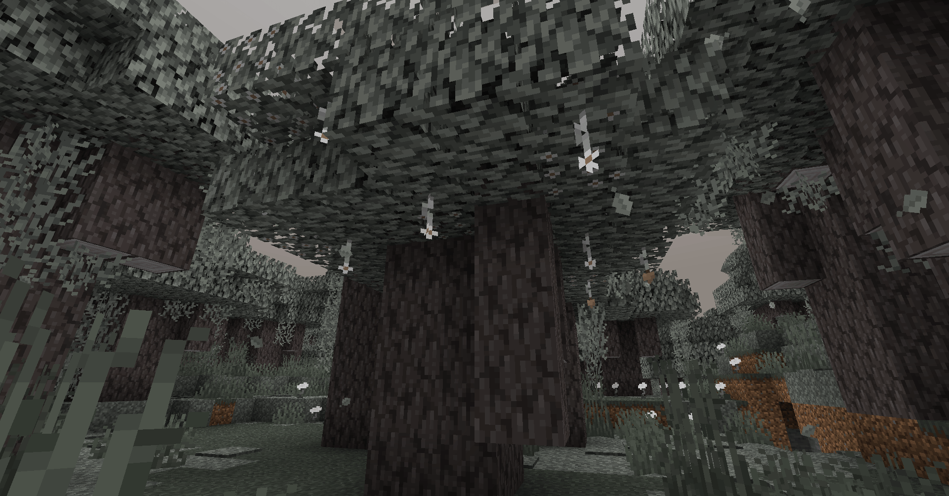 A Blooming Pale Tree