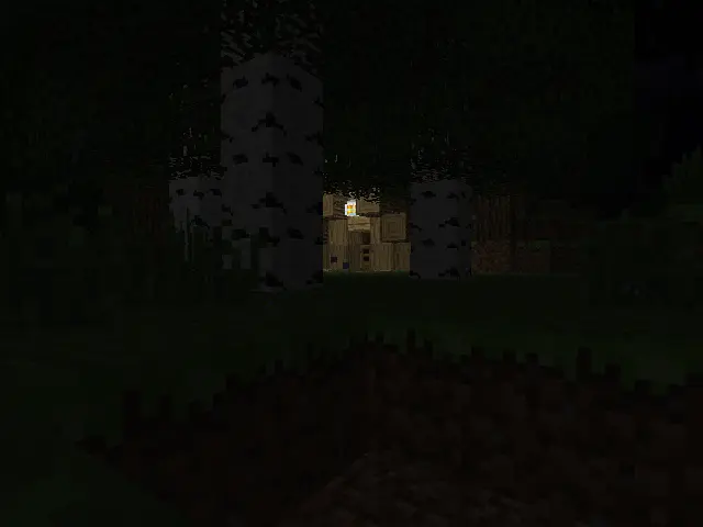 In the forest