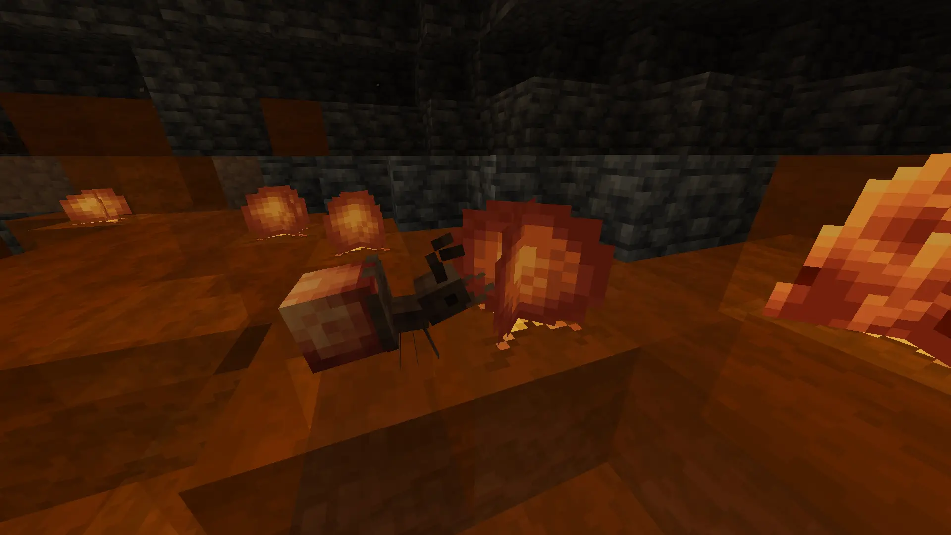 Amber Ant harvesting an Amber Bead