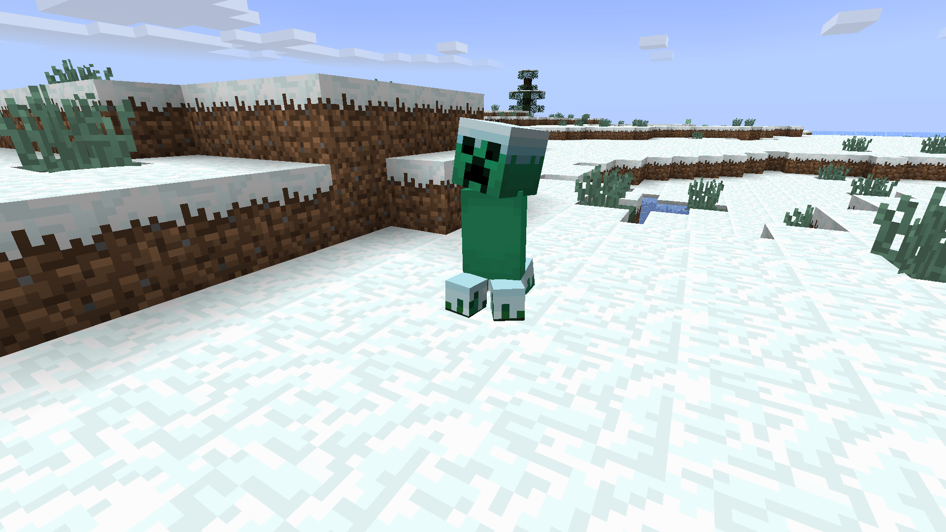 Winter creeper