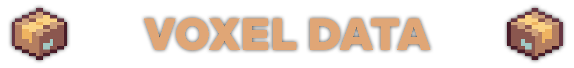 Voxel Data Banner