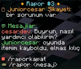 InGame Ticket(with discord sync)